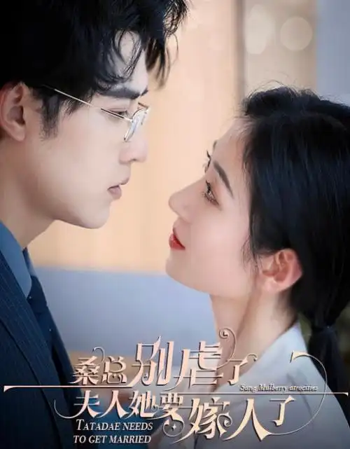 长夜将明 电视剧全集免费观看